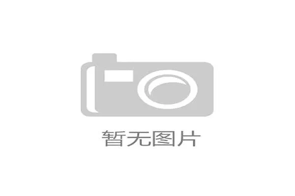 意甲最新转会风云揭晓多队引援策略与未来布局